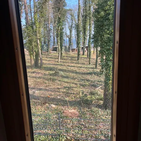 Am In - Casa Del Mar - 42m Bis Zum شقة *