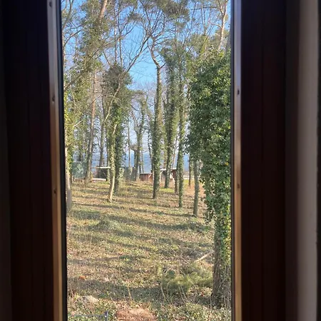 Appartamento Am In - Casa Del Mar - 42m Bis Zum Koserow