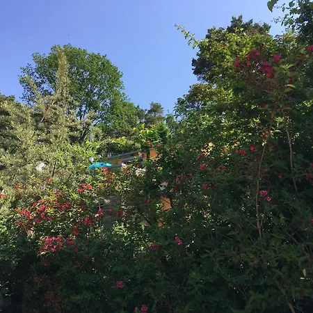 Am In - Casa Del Mar - 42m Bis Zum *