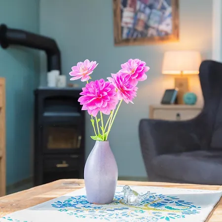 Am In - Casa Del Mar - 42m Bis Zum Koserow